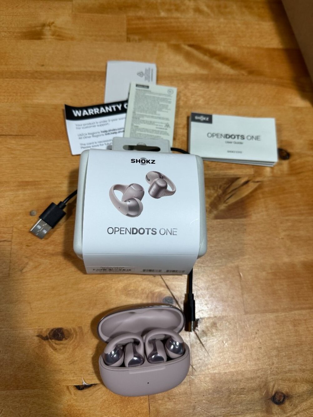 Shokz OpenDots ONE